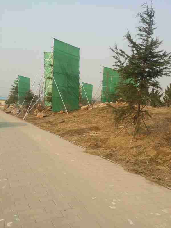 冬季苗(miáo)木防(fáng)寒